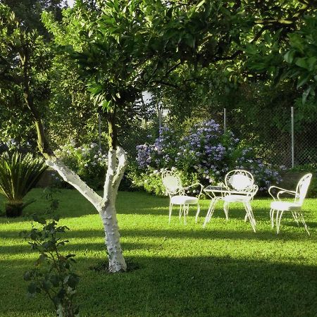 Casa Malu Boutique Apartments - No 1 Gouvia Zewnętrze zdjęcie